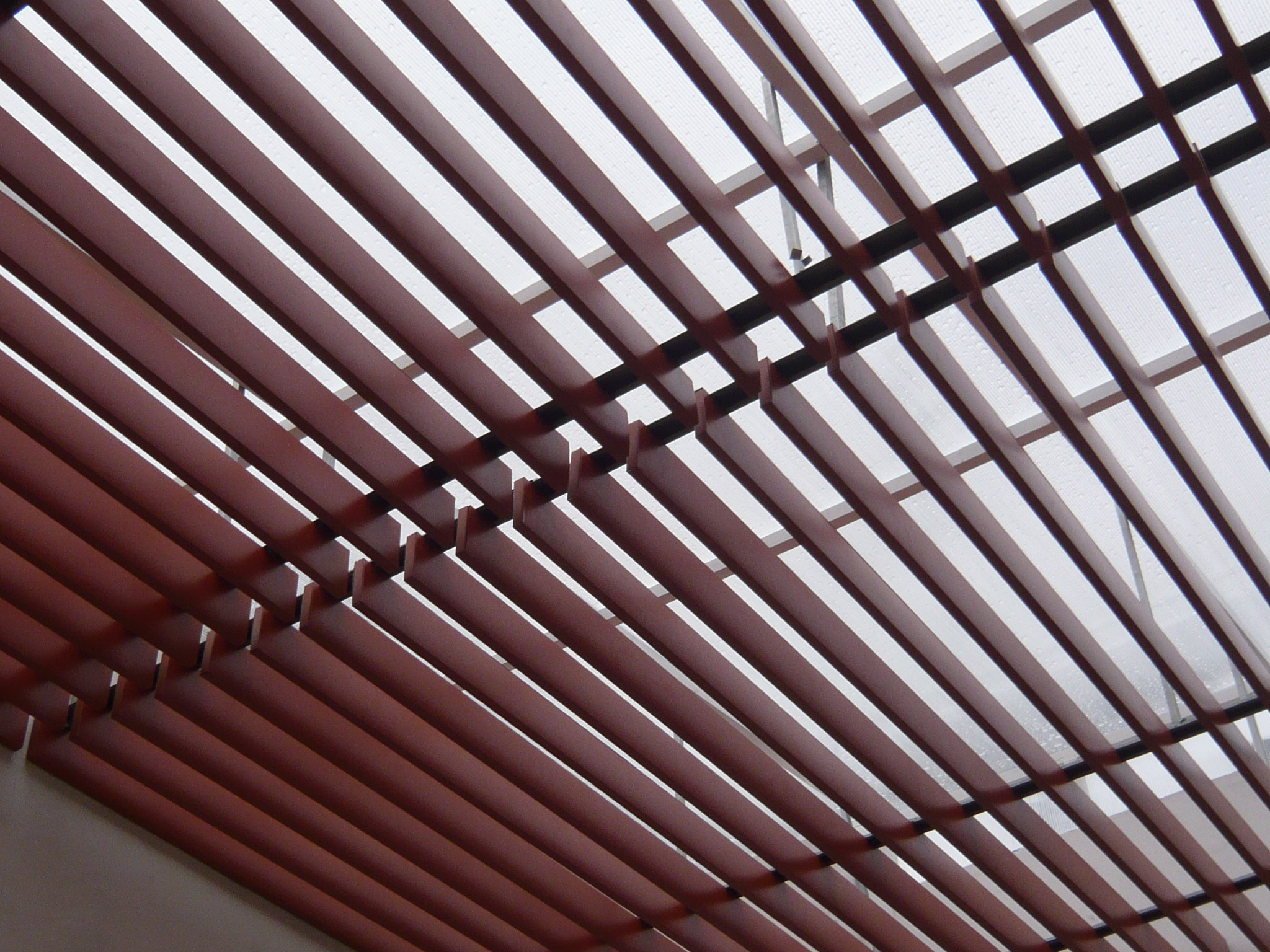 TRẦN BAFFLE